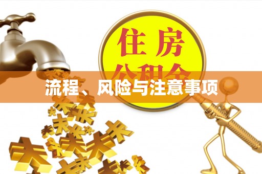 李沧流程、风险与注意事项